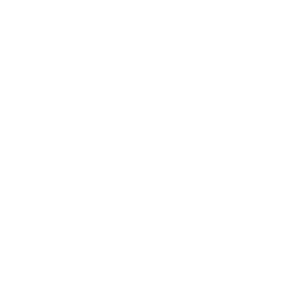 Hayes Detail Shop